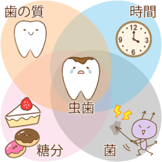 私たちの口の中で一日中何が起こるのですか?